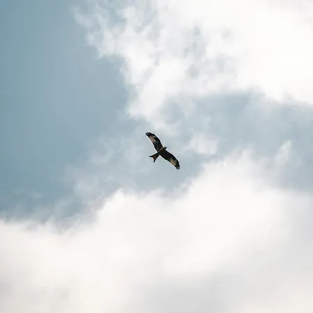 Lejlighed Skandi Mit Seesicht Nahe Interlaken Leissigen