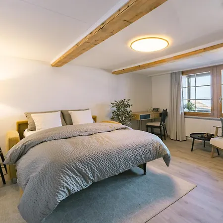 Skandi Mit Seesicht Nahe Interlaken