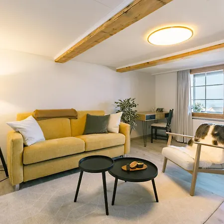 Skandi Mit Seesicht Nahe Interlaken *