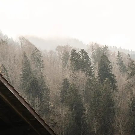 Skandi Mit Seesicht Nahe Interlaken アパート ライシーゲン