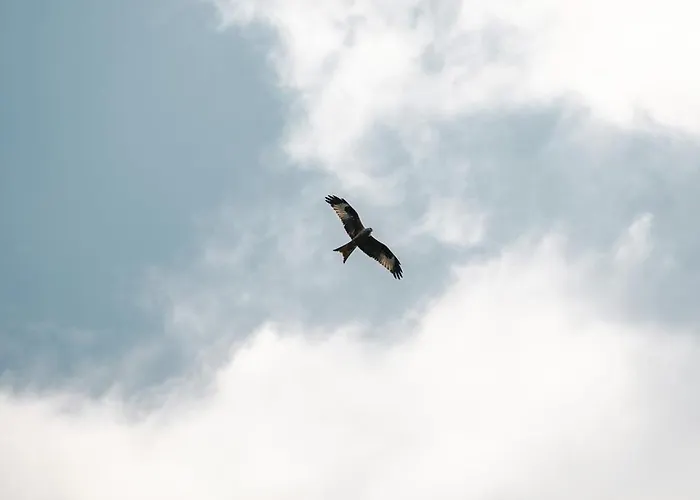 شقة Skandi Mit Seesicht Nahe Interlaken ليسيغن